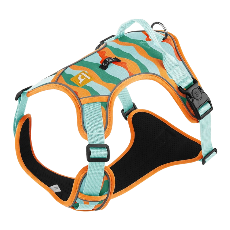 Dog Harness