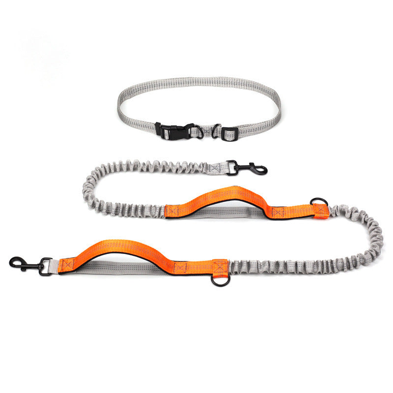 Hands-Free Leash