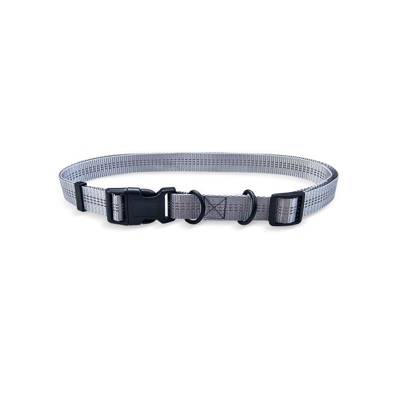 Dual Hands-Free Leash