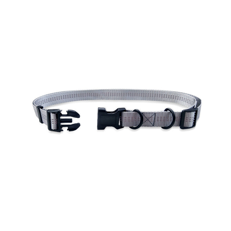 Dual Hands-Free Leash