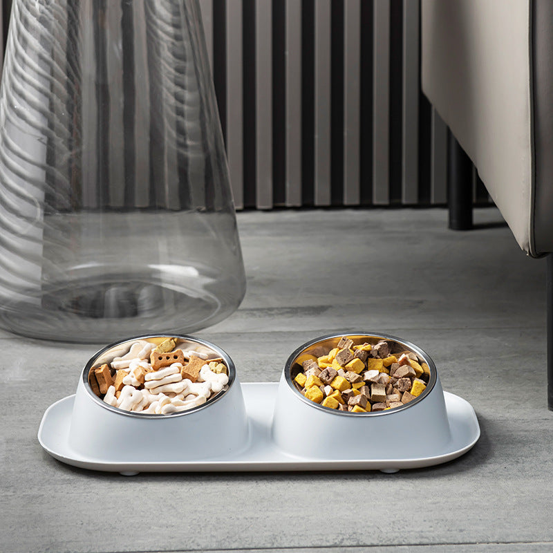 Pet Food and Water Bowl Kit