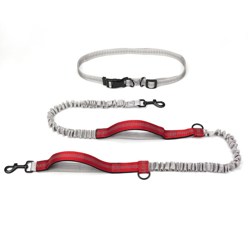 Hands-Free Leash