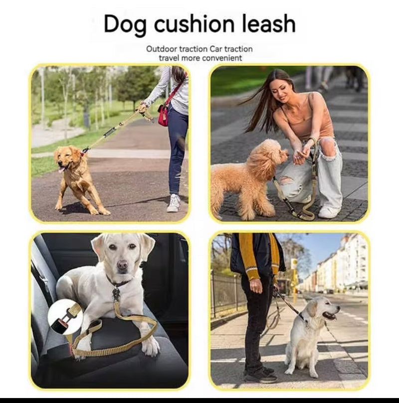Seat Belt Leash