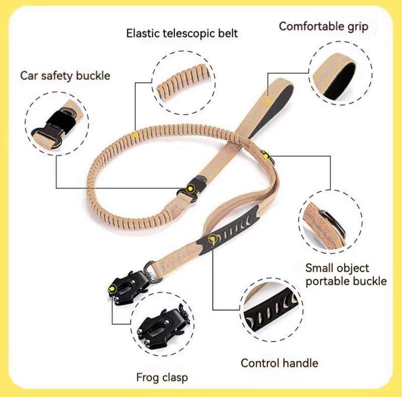 Seat Belt Leash