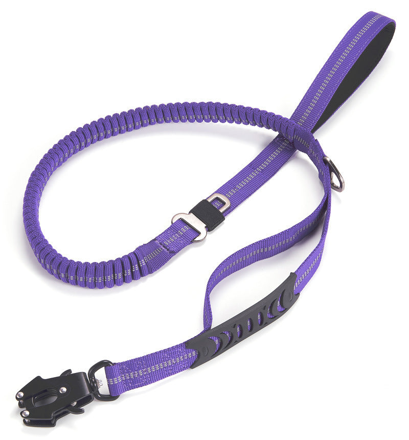 Seat Belt Leash