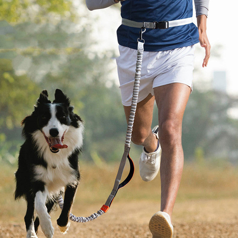 Hands-Free Leash
