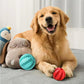 Rope Dental Chew Ball