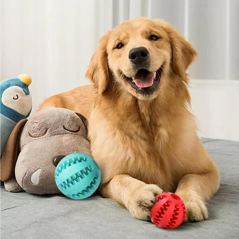 Rope Dental Chew Ball