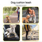 Seat Belt Leash